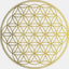 hazelmoore.net