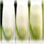 perlescence.over-blog.com