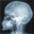 theabfa.org