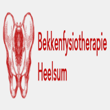 bekkenfysiotherapieheelsum.nl