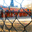 chlc-container.de