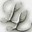 chicagolooplimos.com