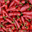 blovescook.over-blog.com