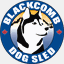 blackcombdogsled.com