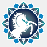 biletypkp.com