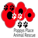 poppysplaceanimalrescue.co.uk