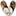 fellclogs.de