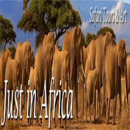 justinafrica.co.za
