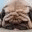 davidmeetgoliath.wordpress.com
