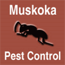 wildlifecontrolmuskoka.com