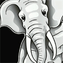 stutheworld.com