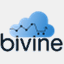 bivine.com
