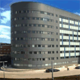 holisticfitnessnyc.com