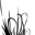 lilygrassfloral.com
