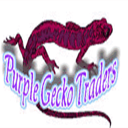 purplegeckotraders.com