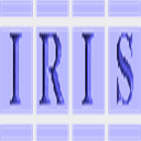 iris-int.nl