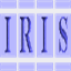 iris-int.nl