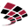 cairosoftware.com