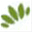 springdalewatergardens.com