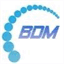 bdm-systems.de