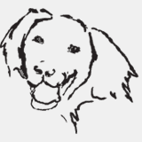 hondenschoolrenga.nl