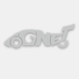 cognitec.net