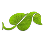 iaid.net