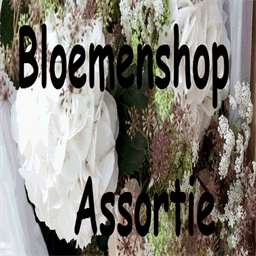 bloemenshopassortie.com