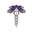 netsinger.com