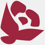 ecolift.net