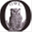 owlpresidentblog.wordpress.com