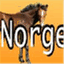norgestrav.com