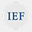 iefglobal.org