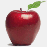 applewhistler.com