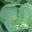asteroidpubl.wordpress.com