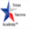texassuccessacademy.com