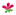 drlodi.hu