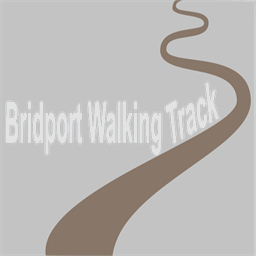 bridportwalkingtrack.com