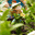nathaliel.over-blog.com