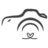 bliink.net