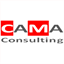 camaconsulting.com