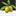 olivenoelseife.ch