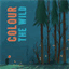 colourthewild.bandcamp.com