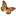 chrysalisprogramme.com