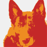 chiropracticandmassagecenter.com