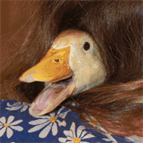 cirruscms.com