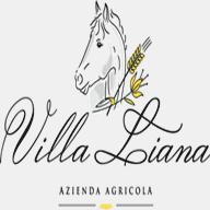 aziendavillaliana.com