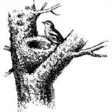 feesavr.com