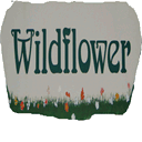 wildflowernm.com
