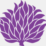 c.loveshang.com